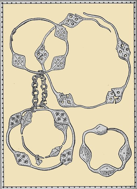 Щитковые Щитковые кольца