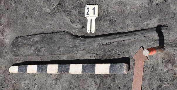 Гнёздово весло X века