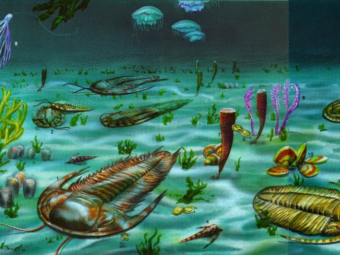 Зарождение жизни на Земле