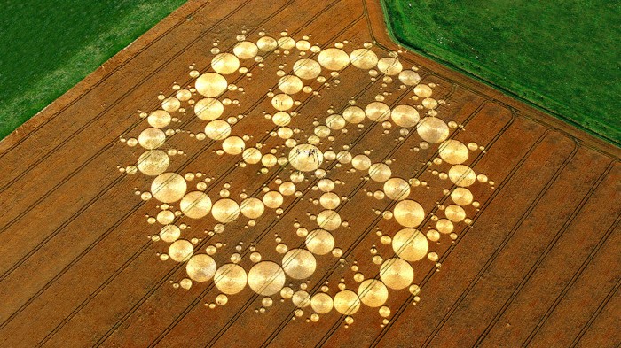 Закруты, заломы, прожины и Круги на полях Закруты, заломы, прожины и Круги на полях