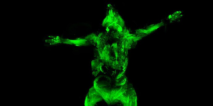 Мышь невидимка