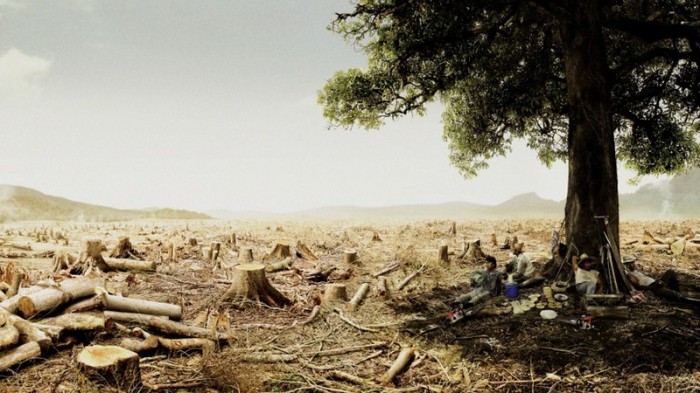 Уничтожение дикой природы