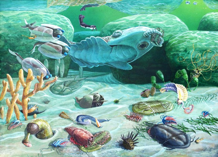 Кембрийский взрыв