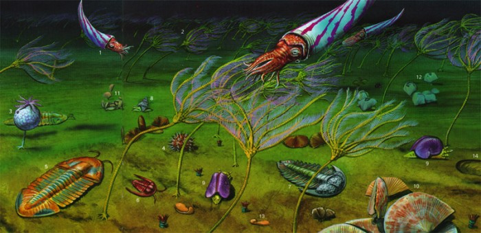 Ордовикский период иллюстрация