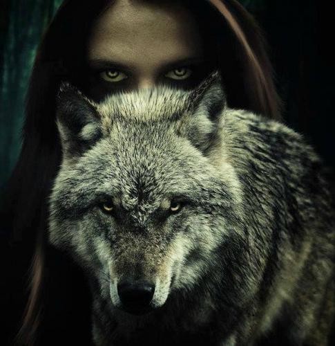 Волк тотемное животное