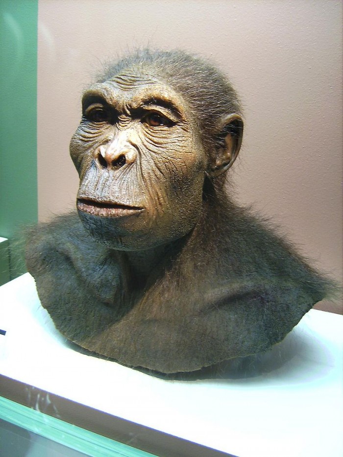 Человек умелый (Homo habilis)