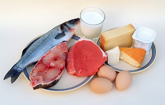 Жиры в организме человека