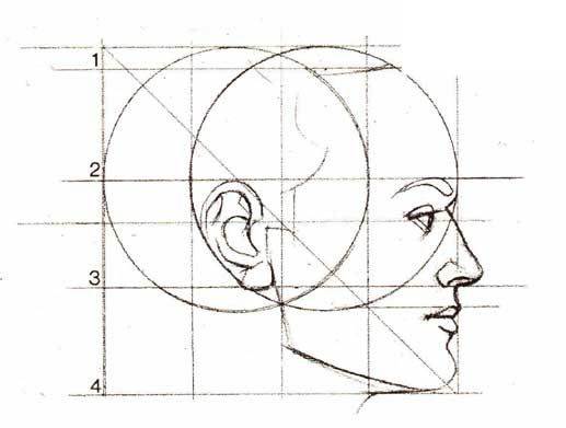 Советы по рисованию портрета - сетка изображения - фото