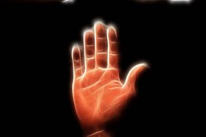 Ладонь человека